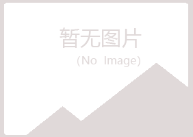 河曲县紫霜化学有限公司